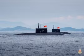 Des forces armées navales prêts pour le défilé maritime. Photo: VNA