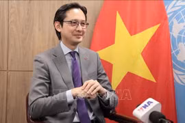 L’ambassadeur Dô Hung Viêt, chef de la Mission permanente du Vietnam auprès de l’ONU. Photo: VNA