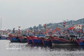 Des bateaux de pêche au port de Lach Bang, province de Thanh Hoa. Photo: VNA