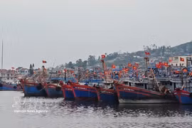 Des bateaux de pêche au port de Lach Bang, province de Thanh Hoa. Photo: VNA
