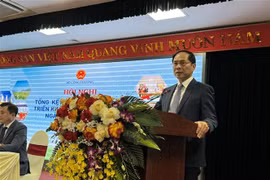 Le vice-Premier ministre et ministre des Affaires étrangères, Bui Thanh Son. Photo: VNA