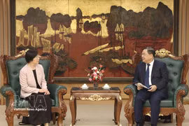La présidente de la Banque asiatique d’investissement pour les infrastructures (AIIB), Zou Jiayi, et le vice-Premier ministre permanent Pham Gia Tuc. Photo: VNA