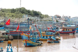 Gestion stricte des bateaux de pêche. Photo: VNA