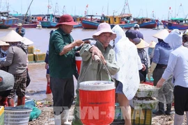 La province de Ninh Binh renforce sa lutte contre la pêche INN. Photo: VNA