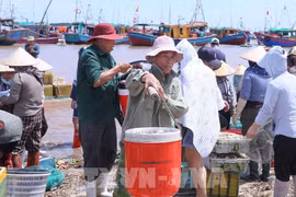 La province de Ninh Binh renforce sa lutte contre la pêche INN. Photo: VNA