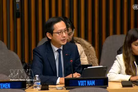 L’ambassadeur Dô Hung Viêt, chef de la Mission permanente du Vietnam auprès de l’ONU, s'exprime lors de la réunion. Photo: VNA