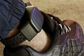 Photo d'illustration. Source: lsvn.vn