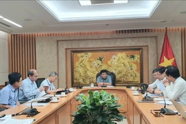 Le vice-Premier ministre Nguyên Chi Dung s'exprime lors de la réunion. Photo: VNA