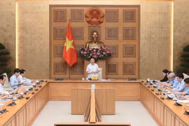 Le vice-Premier ministre Hô Duc Phoc s'exprime lors de la réunion