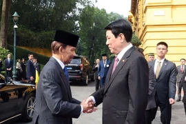 Le président Luong Cuong accueille le sultan de Brunei, Haji Hassanal Bolkiah. Photo: VNA