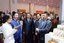 Le vice-Premier ministre Tran Hong Ha (2e à partir de la gauche) visite un stand vietnamien. Photo: VNA
