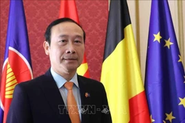 L’ambassadeur du Vietnam en Belgique et chef de la mission du Vietnam auprès de l’Union européenne (UE), Nguyen Van Thao. Photo: VNA