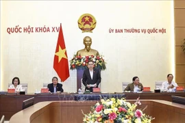 Le président de l’Assemblée nationale (AN), Trân Thanh Mân, s'exprime lors de la réunion. Photo: VNA