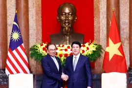 Le président de la République Luong Cuong (droite) et le Premier ministre malaisien Anwar Ibrahim. Photo: VNA