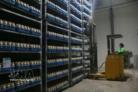 Un robot assure le chargement et le déchargement des marchandises, réduisant la pénibilité du travail et améliorant l'efficacité des opérations. Photo : VNA