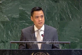 L’ambassadeur Dang Hoang Giang, chef de la Mission permanente du Vietnam auprès de l’ONU. Photo: VNA
