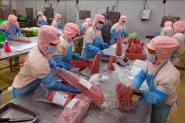 Les exportations de thon en légère hausse de 3,6 % au premier trimestre. Photo: VNA