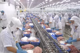 Transformation des produits aquatiques pour l'exportation. Photo: VietnamPlus