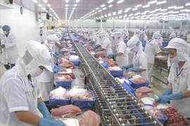Transformation des produits aquatiques pour l'exportation. Photo: VietnamPlus