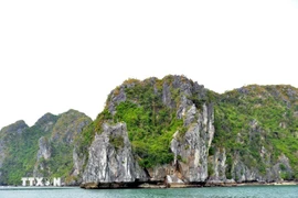 Baie d’Ha Long – un trésor à protéger et à développer durablement