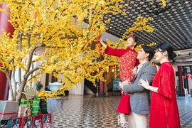 Le Festival du Nouvel An de Da Nang 2026 stimule le tourisme municipal. Photo: Service municipal de la culture, des sports et du tourisme