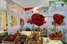 Des produits vietnamiens exposés au salon mondial de la commercialisation des fruits et légumes, Fruit Logistica 2025 à Berlin. Photo: VNA