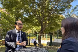 Le docteur Nguyen Hong Son, président de l’Union des associations des Vietnamiens au Japon. Photo: VNA