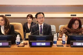 L’ambassadeur Dô Hung Viêt, chef de la Mission permanente du Vietnam auprès des Nations unies. Photo: VNA