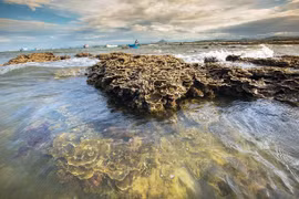Le magnifique écosystème corallien naturel de Hon Yên, province de Phu Yên. Photo : VNA