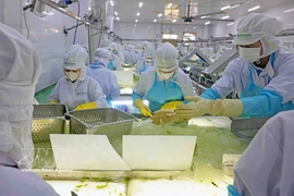 Chaîne de production d’aloe vera de VietFarm. Photo: VNA