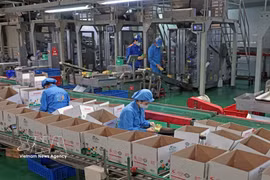 Production dans une usine privée. Photo: VNA
