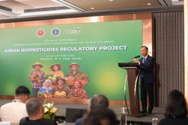 Nguyên Quang Hiêu, chef adjoint du Département de la production végétale et de la protection des végétaux relevant du ministère de l’Agriculture et de l’Environnement. 