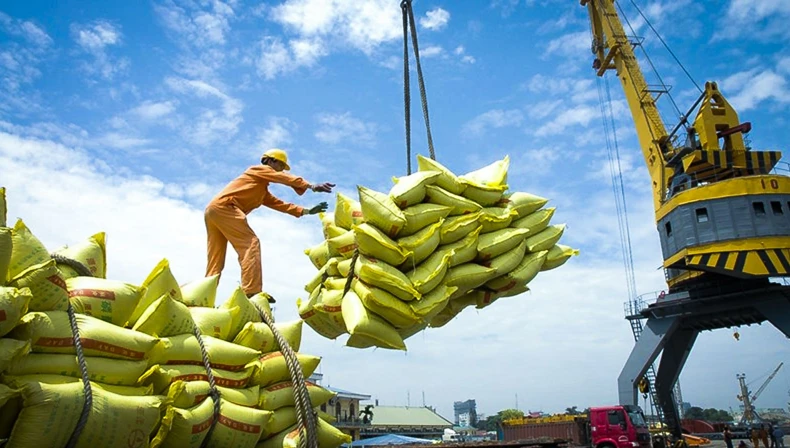 Les exportations de riz vers le Sénégal restent faibles par rapport à la demande