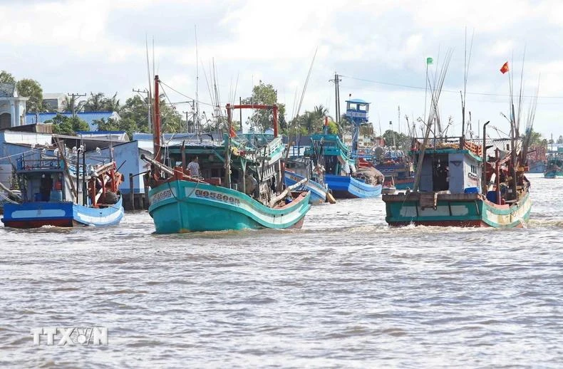 La province de Ca Mau compte encore 274 bateaux de pêche dans la catégorie des "3 Non". Photo: VNA