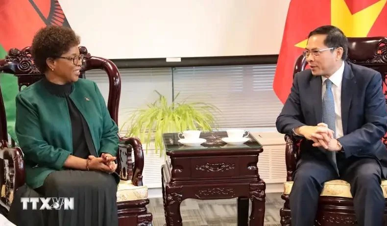La ministre des Affaires étrangères du Malawi, Nancy Tempo, et le vice-Premier ministre et ministre vietnamien des Affaires étrangères, Bui Thanh Son. Photo: VNA