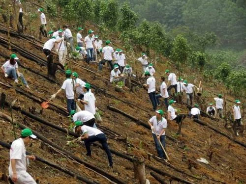 Honda Vietnam finance un projet de boisement à Bac Kan