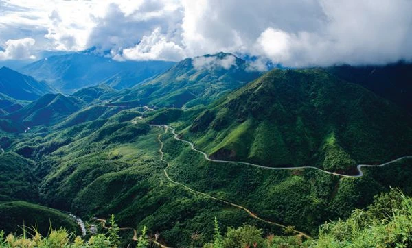 Aide américaine pour la gestion forestière et la conservation de la biodiversité à Lao Cai