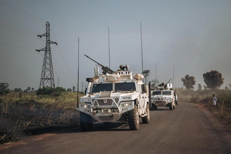 CDS de l'ONU: Le Vietnam salue le cessez-le-feu unilatéral de la République centrafricaine