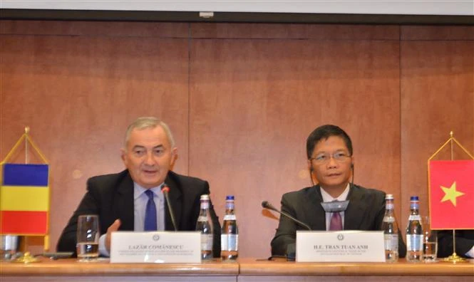 Réunion du Comité mixte Vietnam-Roumanie sur la coopération économique