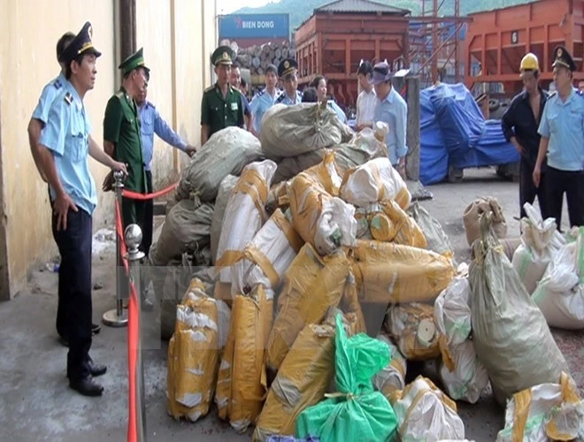 Saisie de deux tonnes de marchandises soupçonnées d'être des défenses d'éléphants 