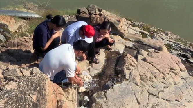 La Hongrie soutient Phu Yen dans l'exploitation d'une source d'eau thermale