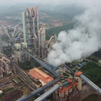 Le rapport de la BM propose de réduire les émissions de gaz à effet de serre pour atteindre un objectif de zéro émission nette d’ici 2050. Photo : VN+