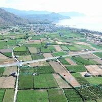Le projet de centrale nucléaire de Ninh Thuân 2 devrait être construit dans le hameau de Thai An, commune de Vinh Hai, district de Ninh Hai. Photo : VNA