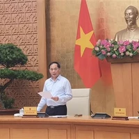 Le vice-Premier ministre et ministre des Affaires étrangères Bui Thanh Son prend la parole. Photo: VNA
