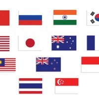 Les 13 pays ayant établi un partenariat stratégique global avec le Vietnam