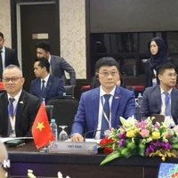 Une délégation de l'Assemblée nationale du Vietnam, conduite par son vice-président Vu Hong Thanh, a participé à la réunion préparatoire de l'Interface des dirigeants ASEAN-AIPA 2025 (Interface ASEAN-AIPA), qui s'est tenue le 25 mai à Kuala Lumpur, en Malaisie. Photo : VNA