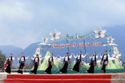Des spectacles culturels et artistiques animés sont présentés lors de la fête des fleurs de Son tra dans la commune de Ngoc Chien. (Photo : VNA)
