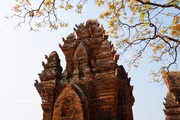 La tour Po Klong Garai : témoin de l’architecture cham sur la terre ensoleillée et venteuse de Khanh Hoa