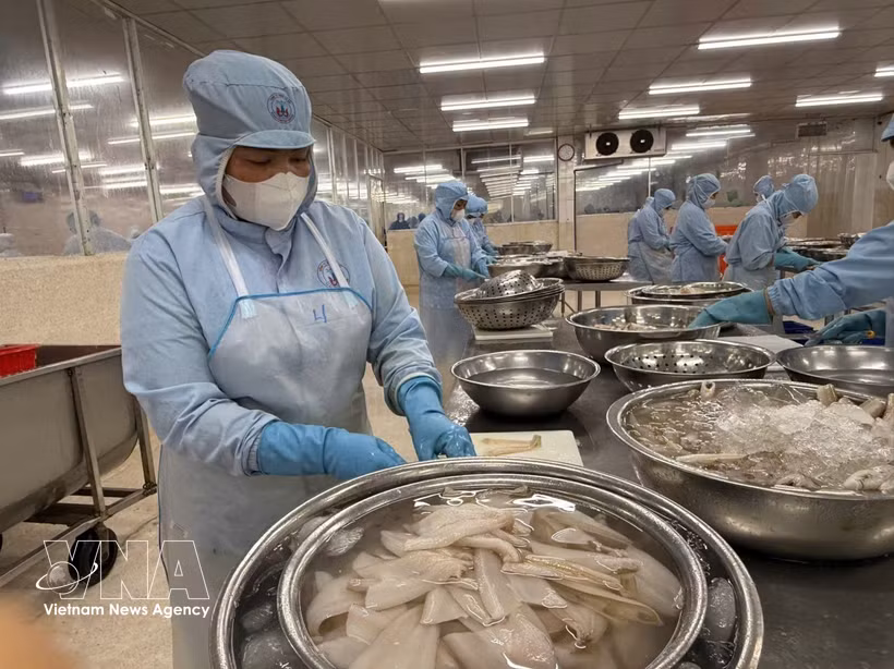 Les exportations vietnamiennes de produits aquatiques visent 12 milliards de dollars en 2026. Photo: VNA