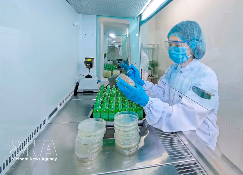Nestlé Bông Sen (Hung Yên) applique les technologies numériques au service d’une production verte. Photo: VNA